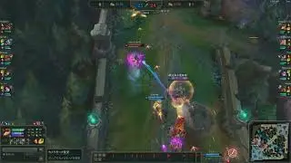 S11 BEST VAYNE MONTAGE　IN　JAPAN　SURVER