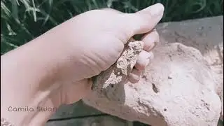 Глина Халва/ Пыльная,сухая глина/строительная глина/ #асмр#глинка