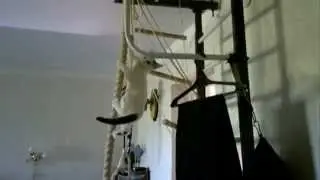 Котэ тоже хочет в Альтаир!