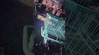 dramatic cart experience 😄