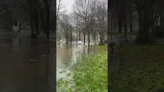Река вышла из своих берегов, и ты сможешь ☀️  #природа #река #вода #любовь #жизнь