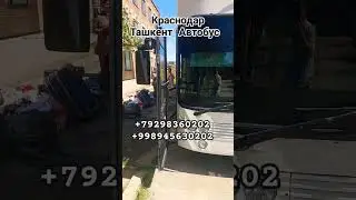 Краснодар Ташкент Автобус #автобус #тошкент #краснодар #тикток #краснодар #тикток #ташкент  #анапа