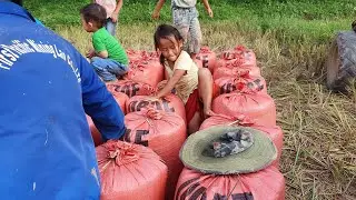 5 พฤศจิกายน ค.ศ. 2023