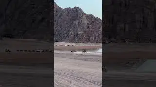 В стиле Безумный Макс #врекомендации#мото#mountains#song#animals#funnyvideo#nature