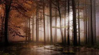 9 HOUR HD,4k,8k Digital Photography Pictures Relaxing Music - GEMA-freie Musik in allen Styles!