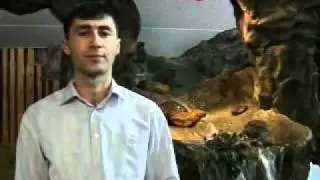 группа рассвет Родник Невесты лезгинская песня