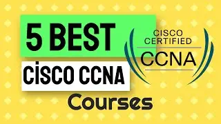 5 Best Cisco Ccna Courses Udemy