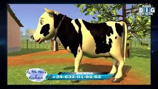la Tita Mary Y Cordobito el pregunton En Vivo