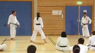 NTKF Gasshuku med sensei Kawasoe