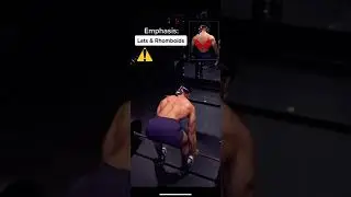 Barbell Rows: Know the Difference 