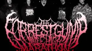 [NEW] best brutal death metal bands III [NEW]