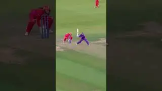 Phoebe Litchfield's unbelievable switch hit 😲