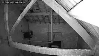 Wirral Barn Owl Trust – Live Nest Cam