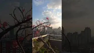keindahan kota jakarta