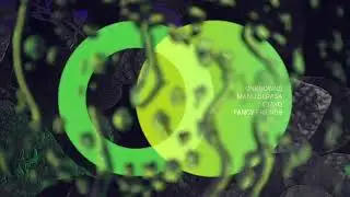 UnknownS & Manu Cerasa & Etayo - Fancy Friends   [Progressive House / Melodic Techno]