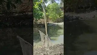 mancing seru di kolam