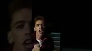 Baltimora - Tarzan Boy (1985)