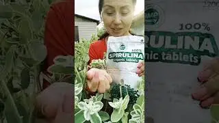 Вы знаете какой перекус сделает вас энергичными, сытыми, а главное здоровыми ❓