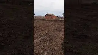 Осматриваем место под  пасеку 