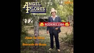 "AMOR DE TODOS" / "BUSCANDO UN OLVIDO" Angel Flores Y Sus Alacranes (1981 LP)