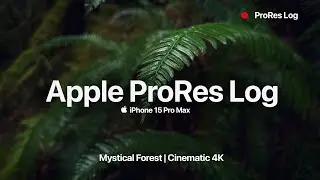 Mystical Forest - Nature Cinematic Video | iPhone 15 Pro Max