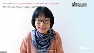 WHO EPI-WIN Webinar: Public health risk of avian influenza A(H5N1) detected recently in dairy cattle