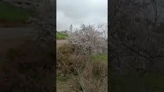 Natur Rif Al Hoceima 19/02/2023 ♓🌲🌾🍁🍂🌧️ أحسن طبيعة هذا العام في الريف