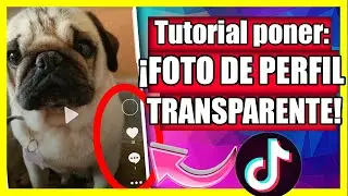 ❤️ How to put a TRANSPARENT PROFILE PHOTO on TIK TOK | 💙 TRANSPARENT profile photo on TIK TOK