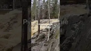 1 ноября 2023 г.
