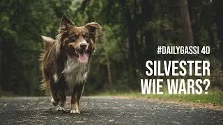 Silvester mit Hund ohne Böller - wie wars? [DailyGassi #40]