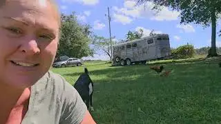 After Hurricane Helene...How Did We Do?