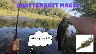CHATTERBAIT fishing for BIG BASS!