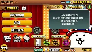 [貓戰手把體驗直播] 台版13.5版新關卡挑戰中！