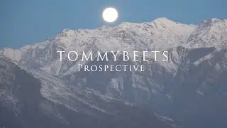 TommyBeets- Prospective (OFFICIAL LYRIC VIDEO)