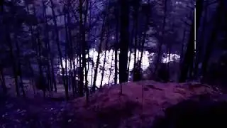 Ufoginarium Party 2019