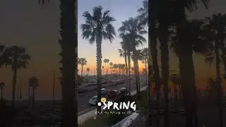 Spring outting at Huntington Beach#shorts