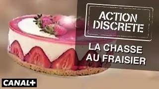La chasse au fraisier - Action Discrète