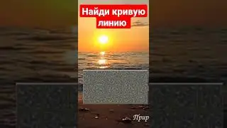 попробуй найти кривую линию😅🤣😎#shorts#