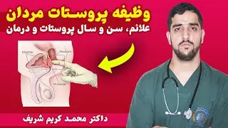 وظیفه پروستات چیست | علائم خطرناک پروستات مردان | درمان پروستات 👨‍⚕️داکتر محمد کریم شریف