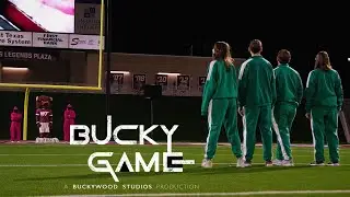 Buckywood Studios: Bucky Game