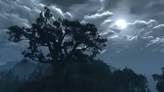 The Witcher 3 تستعرض جمال عالمها بعرض جديد