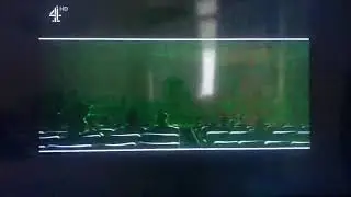 Gracie Films/20th Century Fox Television (2007)