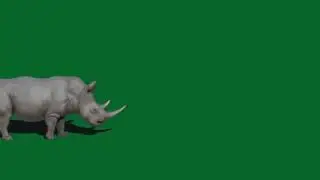 Rhino Green Screen (Resounded)