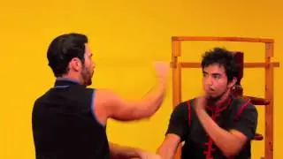 Traditional Wing Chun Hand Techniques