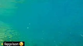 gazipaşa koru plajı