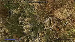 Skyrim AE/SE Enb Complex Grass Collision FPV Issue