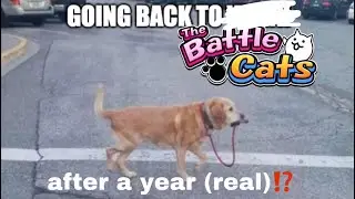 Returning to Battle Cats after a year (Battle Cats)