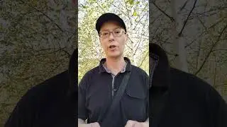Ушедшим