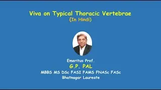 Viva on typical thoracic vertebrae HINDI