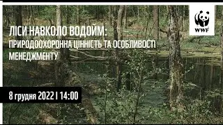 Ліси навколо водойм: природоохоронна цінність та особливості менеджменту